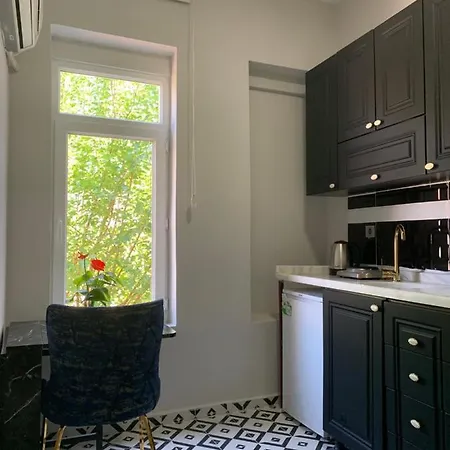 Nearby Taksim Spacious Flat With Duble Bed Estambul